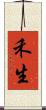 禾生 Scroll