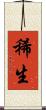 稀生 Scroll
