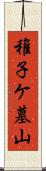 稚子ケ墓山 Scroll
