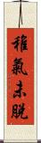 稚氣未脫 Scroll