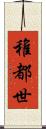 稚都世 Scroll