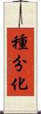種分化 Scroll