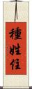 種姓住 Scroll