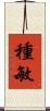 種敏 Scroll