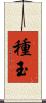 種玉 Scroll