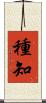 種知 Scroll