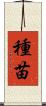 種苗 Scroll