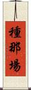 種那場 Scroll
