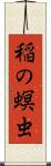 稲の螟虫 Scroll