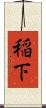 稲下 Scroll