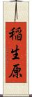 稲生原 Scroll