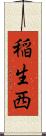 稲生西 Scroll