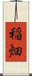 稲畑 Scroll