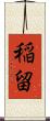 稲留 Scroll