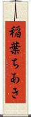 稲葉ちあき Scroll
