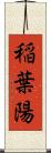 稲葉陽 Scroll