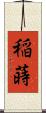 稲蒔 Scroll