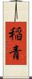 稲青 Scroll