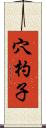 穴杓子 Scroll