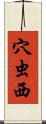 穴虫西 Scroll