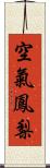 空氣鳳梨 Scroll