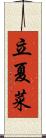 立夏菜 Scroll