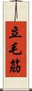 立毛筋 Scroll