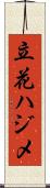 立花ハジメ Scroll