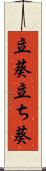 立葵 Scroll
