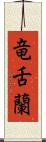 竜舌蘭 Scroll