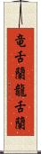竜舌蘭 Scroll