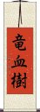 竜血樹 Scroll