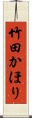 竹田かほり Scroll