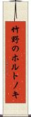 竹野のホルトノキ Scroll