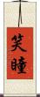 笑瞳 Scroll