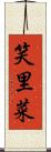笑里菜 Scroll