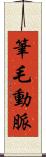 筆毛動脈 Scroll