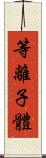 等離子體 Scroll