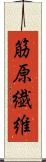 筋原繊維 Scroll