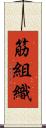 筋組織 Scroll