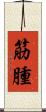 筋腫 Scroll