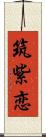 筑紫恋 Scroll