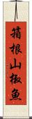 箱根山椒魚 Scroll