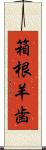 箱根羊歯 Scroll