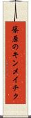 篠原のキンメイチク Scroll