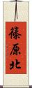 篠原北 Scroll