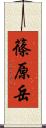 篠原岳 Scroll