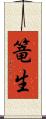 篭生 Scroll