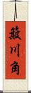 簸川角 Scroll