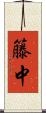 籐中 Scroll